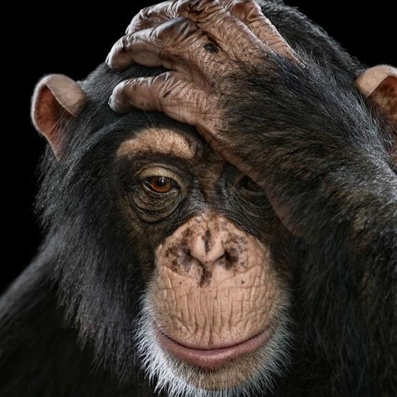 Meet your Posher, Josh - Picture 1 of 1